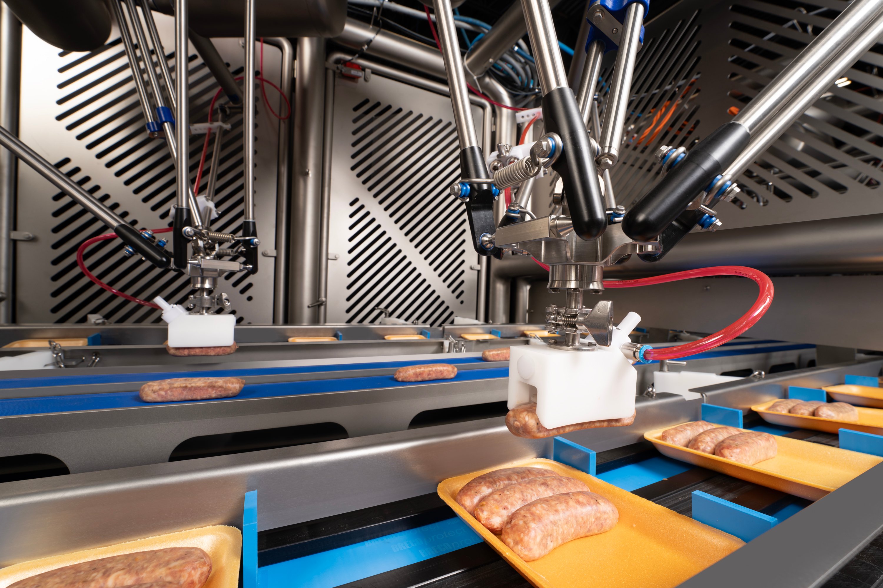 4268_JLS_Talon_Premio_005