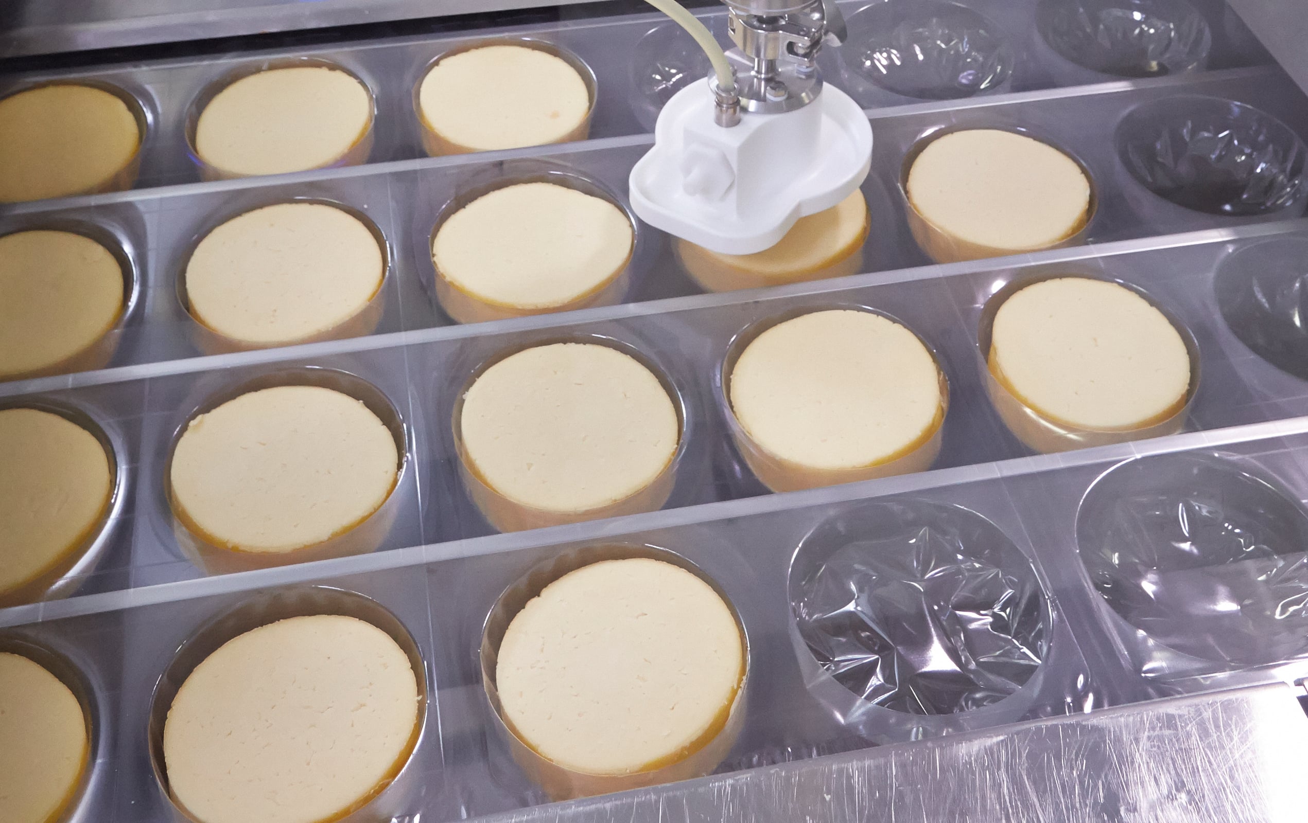 Talon robot loading cheese rounds into thermoformer pockets
